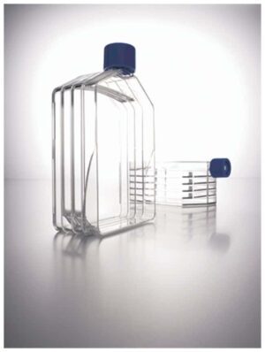 Clear rectangular glass bottles with blue caps on a reflective surface.