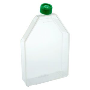 Transparent plastic bottle with a green cap.