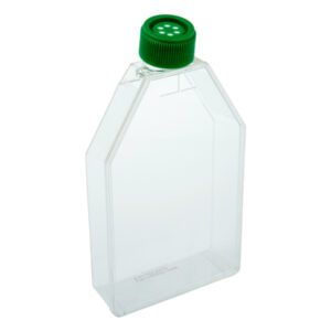 A clear plastic bottle with a green screw cap.