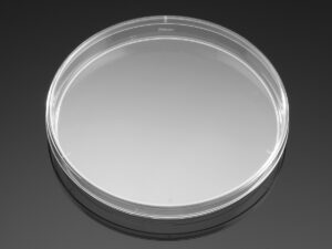 A transparent empty petri dish on a reflective surface.